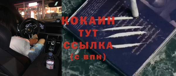 ПСИЛОЦИБИНОВЫЕ ГРИБЫ Балахна