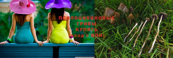 ПСИЛОЦИБИНОВЫЕ ГРИБЫ Балахна