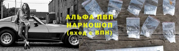 ПСИЛОЦИБИНОВЫЕ ГРИБЫ Балахна